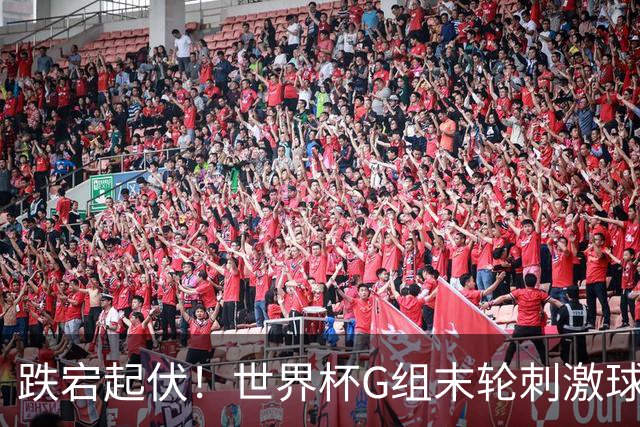 跌宕起伏！世界杯G组末轮刺激球迷心脏 伊朗狂喜过后遭打击